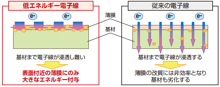 電子線処理の効果比較